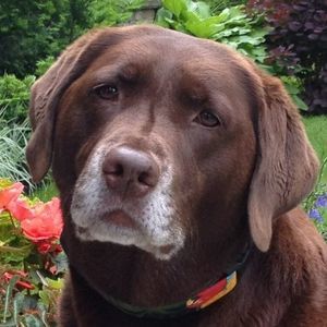 Meet your Posher, Jana